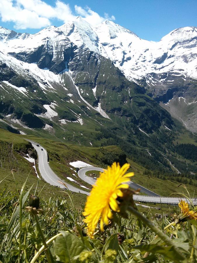 Bed and Breakfast Ridehouse Schladming Esterno foto